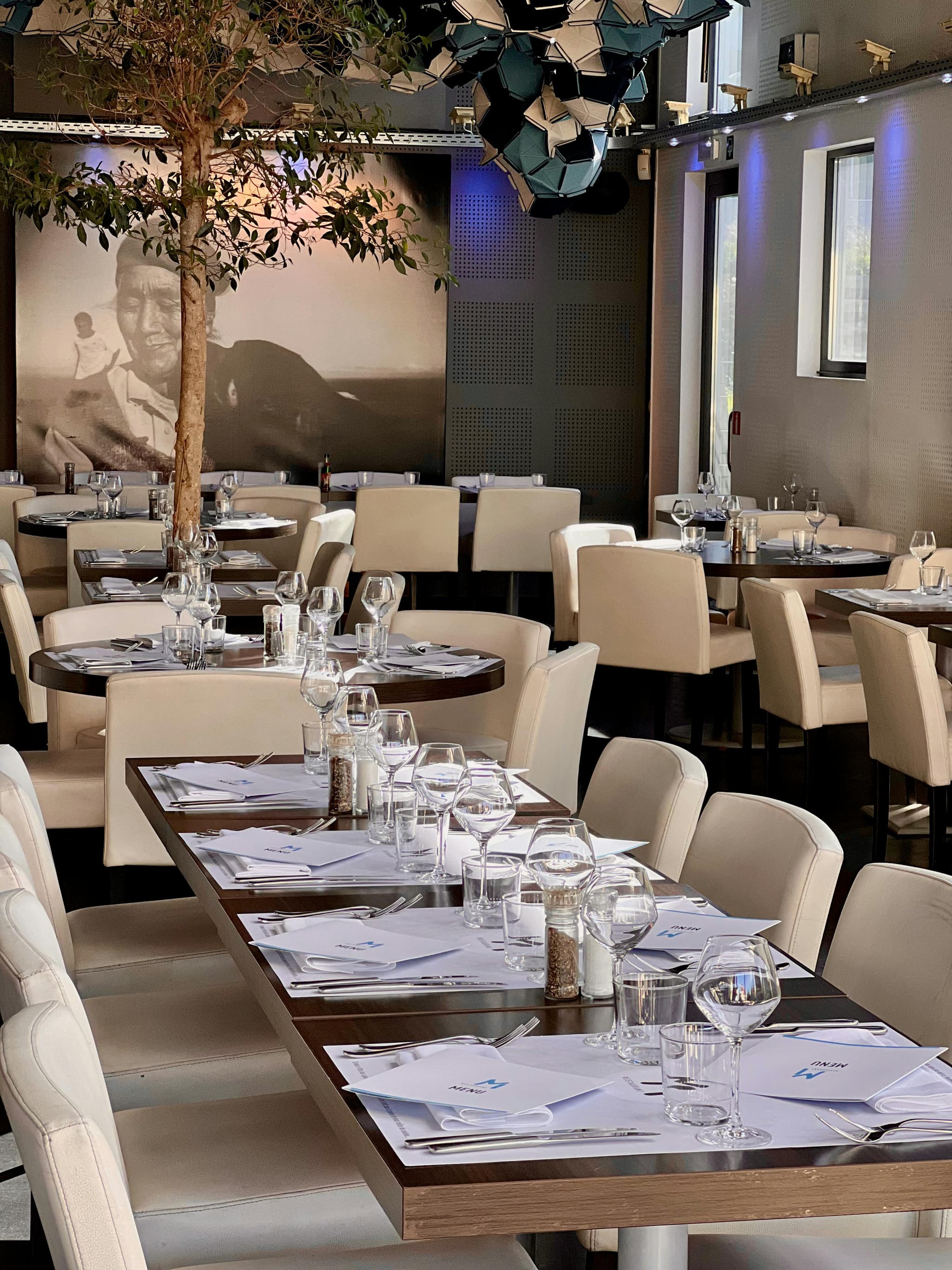 Ordinul ANPC 201/2022 explicat pe înțelesul restaurantelor