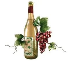 VINURI